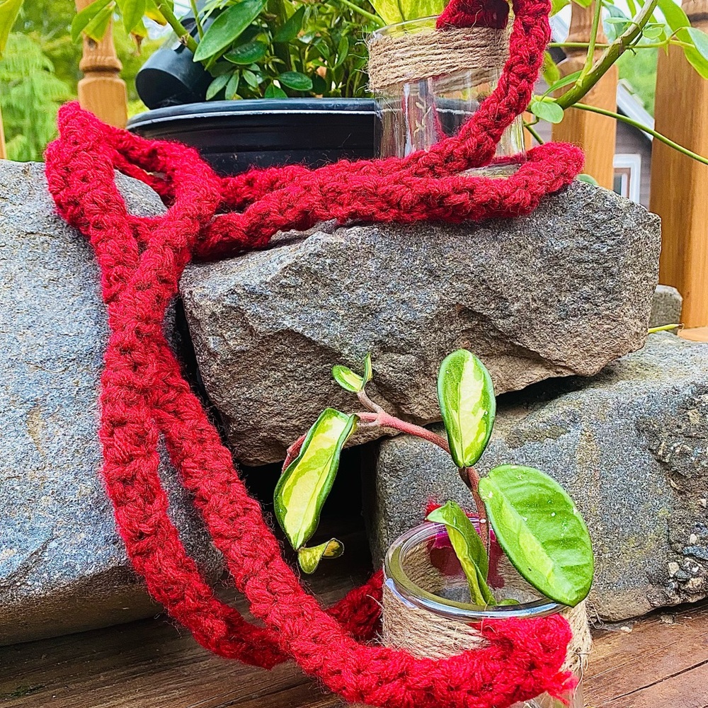 Hanging propagation jars handmade crochet